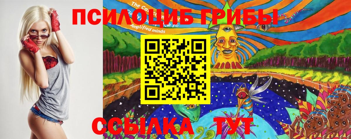 Псилоцибиновые грибы Psilocybine cubensis  Вход с VPN  Кемерово 
